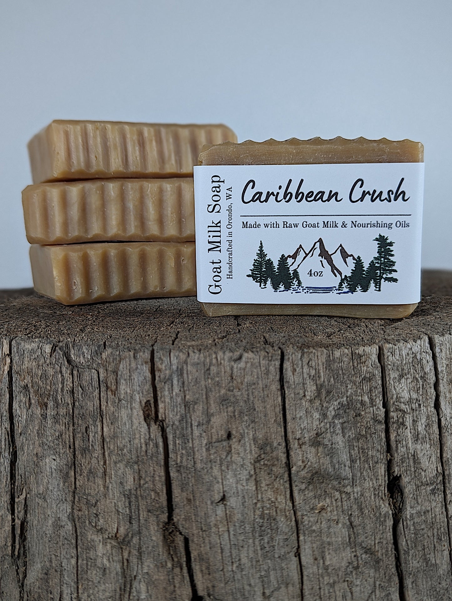 Goat Milk Soap 4-Pack - Caribbean Crush