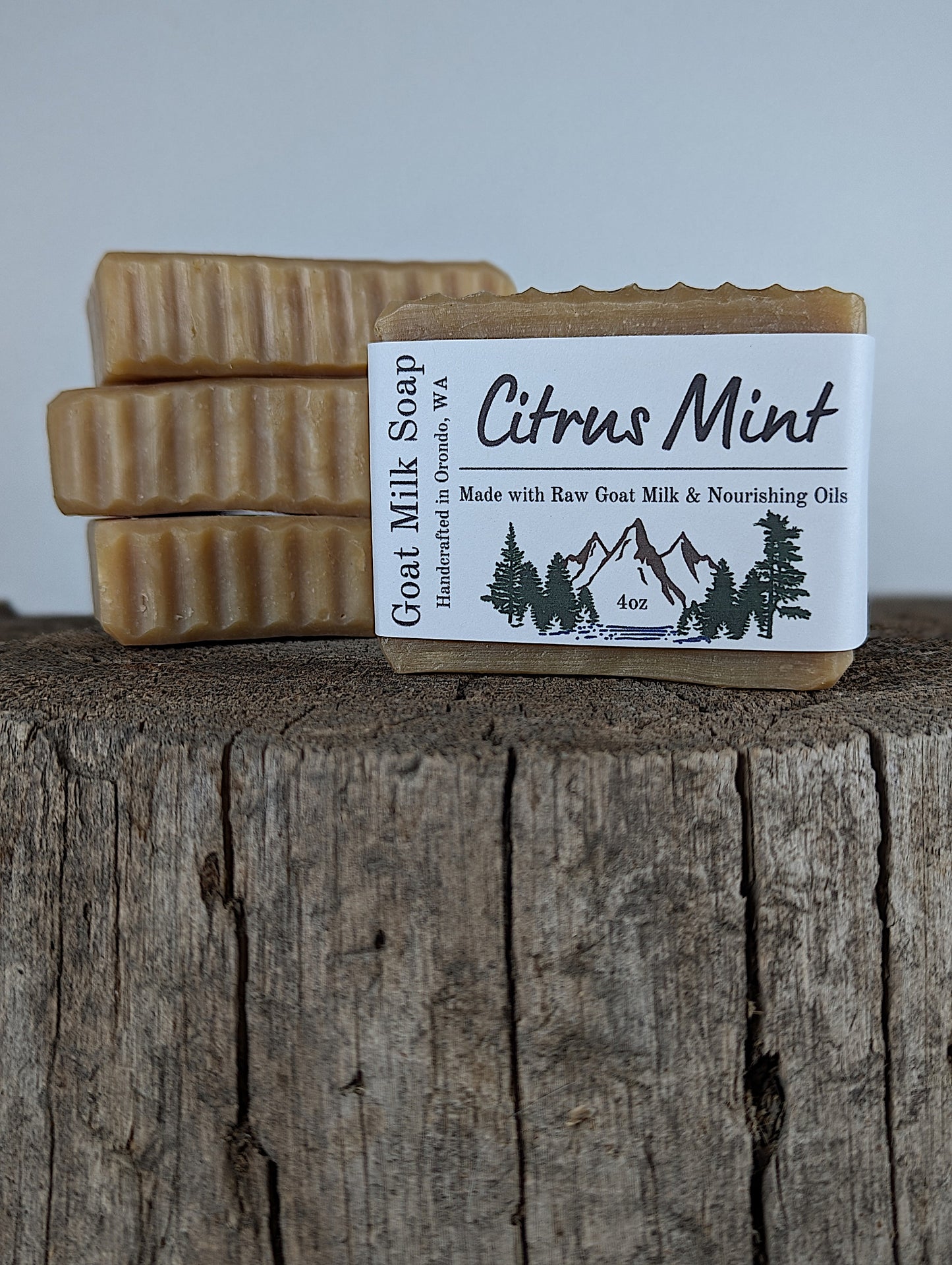 Goat Milk Soap 4-Pack - Citrus Mint