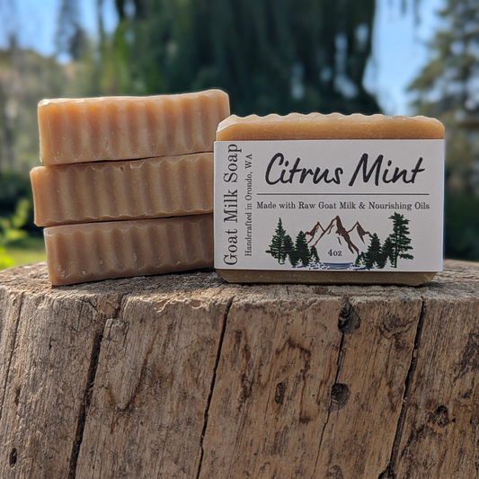 Goat Milk Soap 4-Pack - Citrus Mint