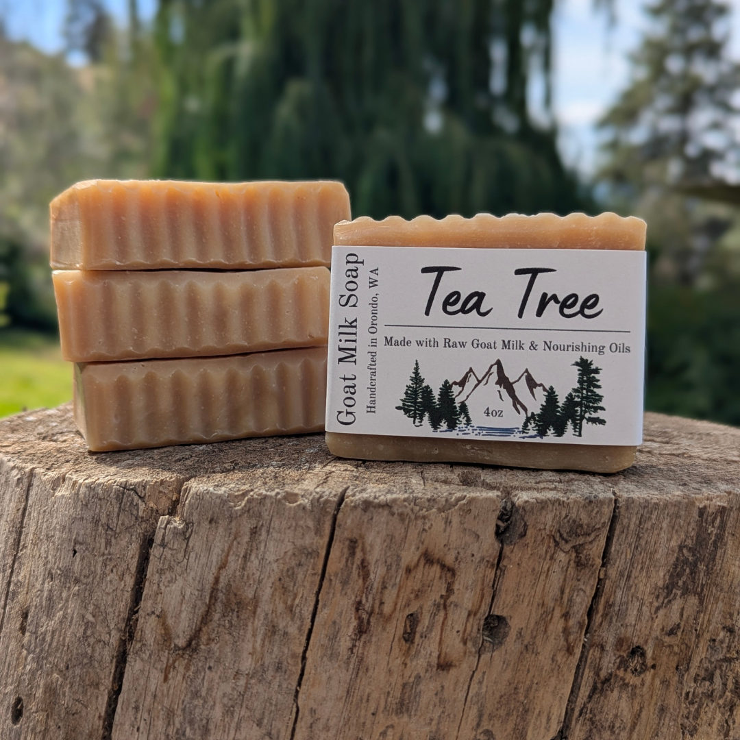 Goat Milk Soap 4-Pack - Tea Tree